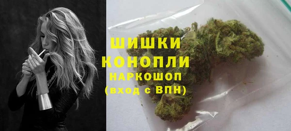 шишки Арсеньев
