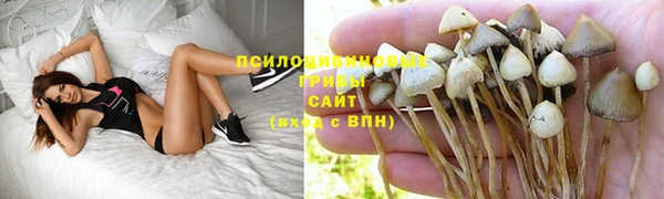 не бодяженный Армянск