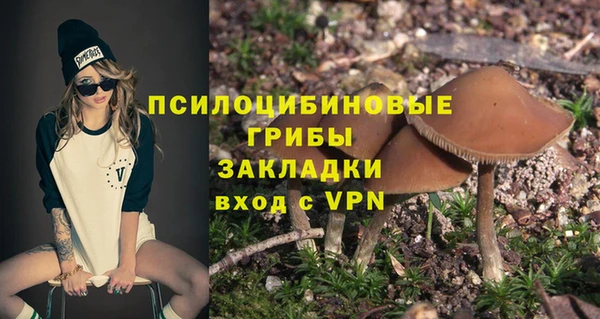 сатива Аркадак