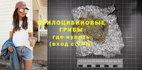 шишки Арсеньев