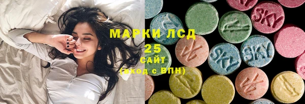 шишки Арсеньев