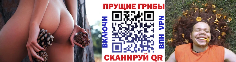 Купить где  Лабытнанги  Псилоцибиновые грибы прущие грибы 
